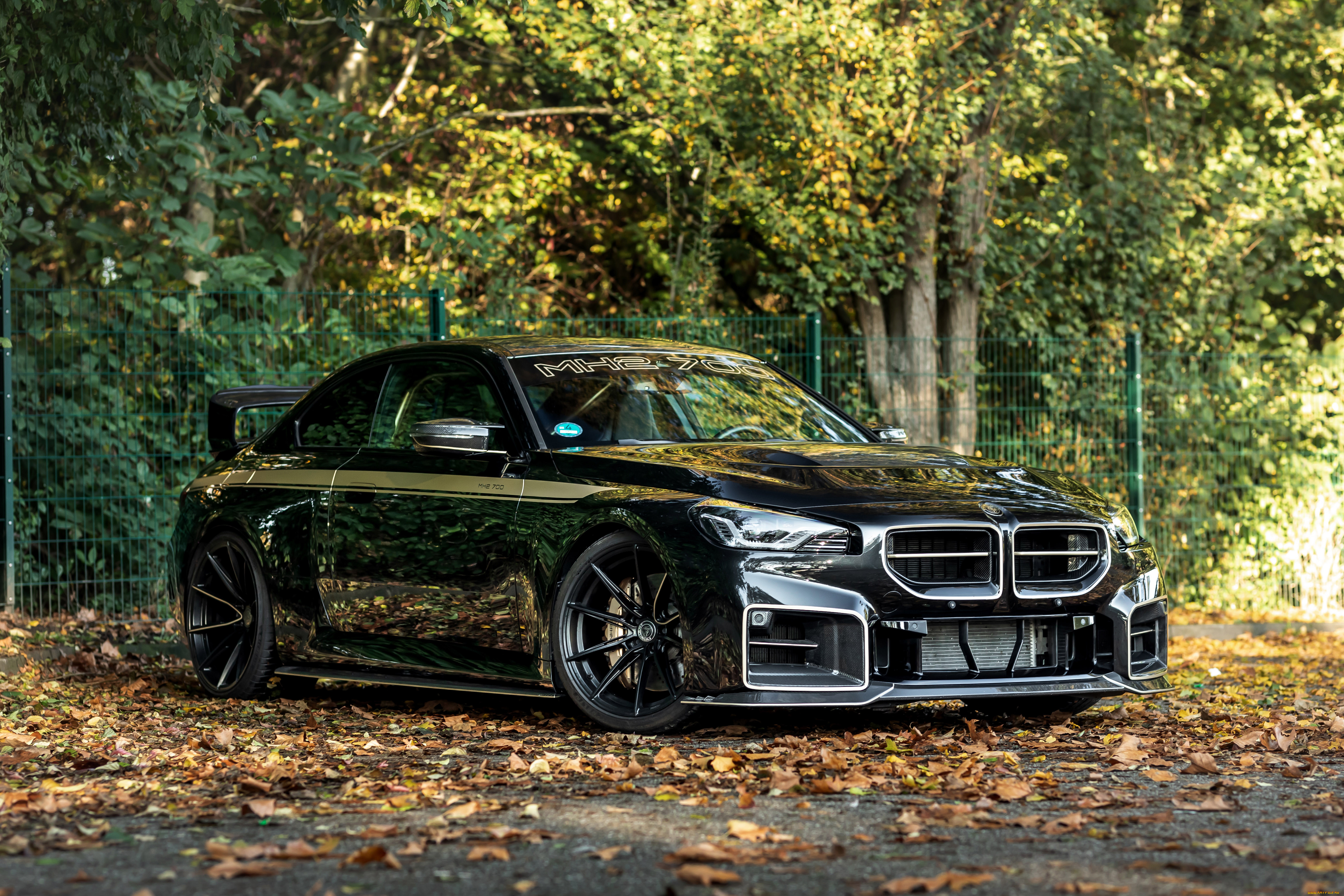 , bmw
